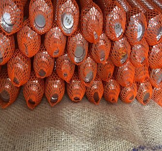 Hastelloy C22 Fasteners Hastelloy C22 Fasteners